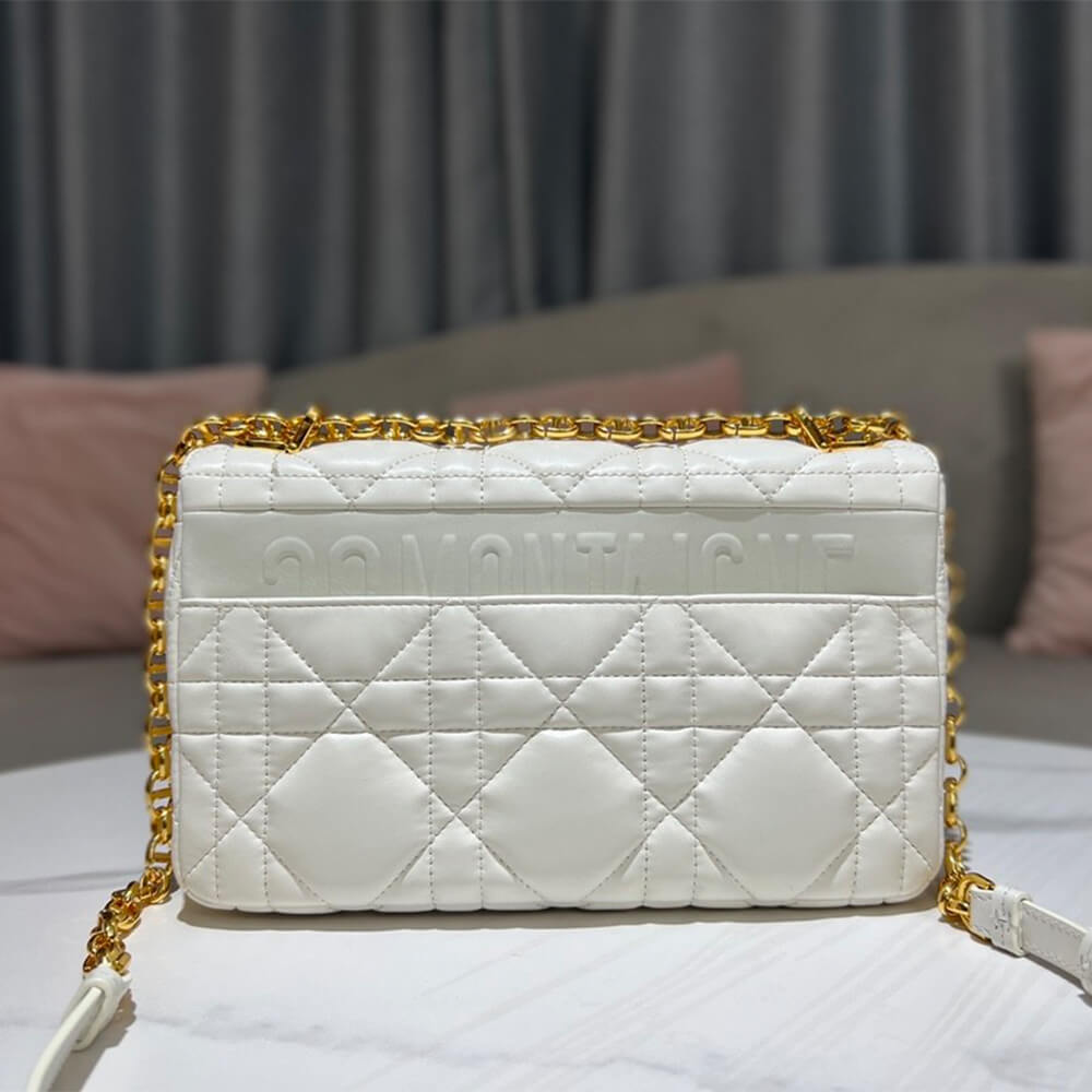 MEDIUM D10r CARO BAG