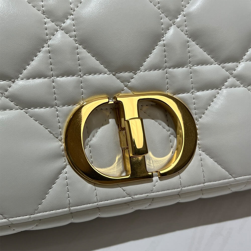 MEDIUM D10r CARO BAG