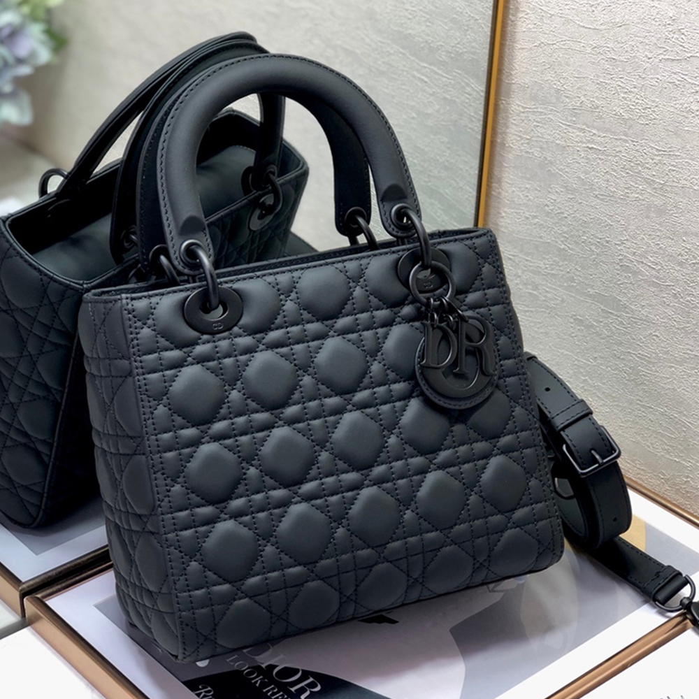 D10r LARGE LADY D10r BAG(4A)