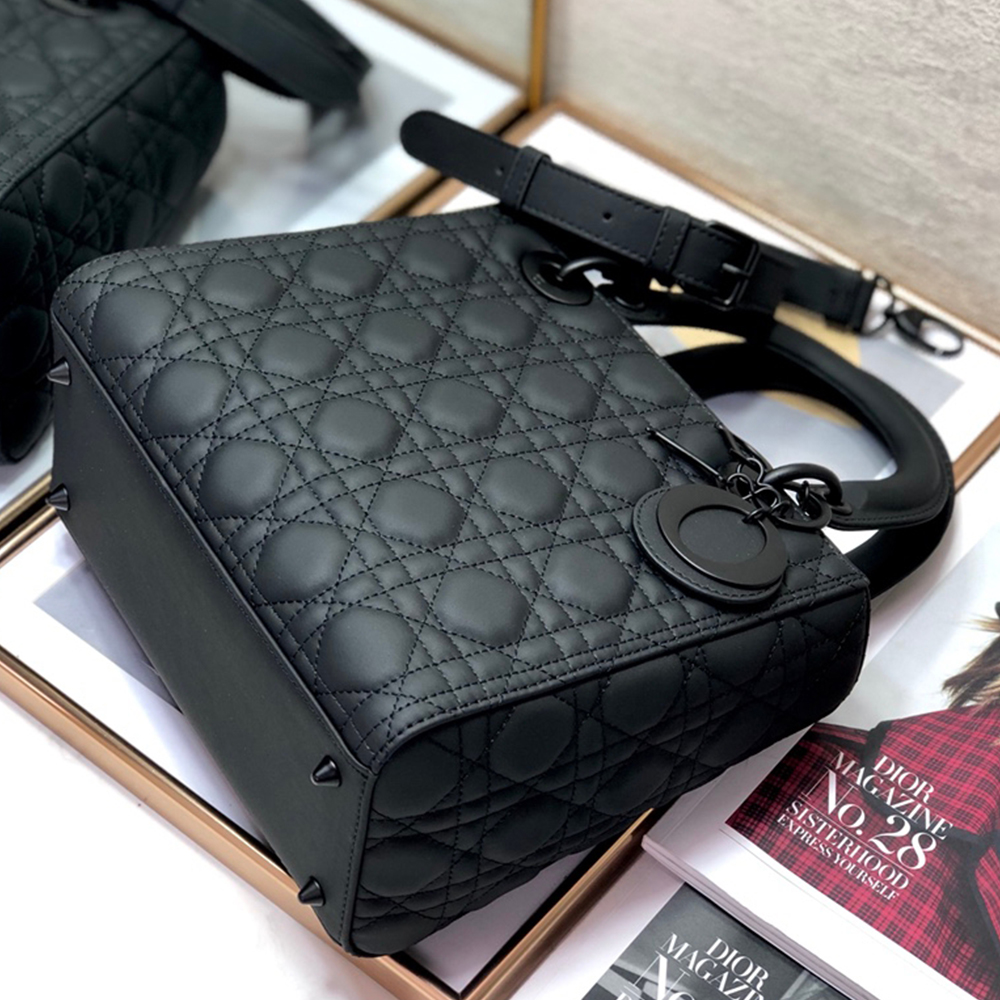 D10r LARGE LADY D10r BAG(4A)