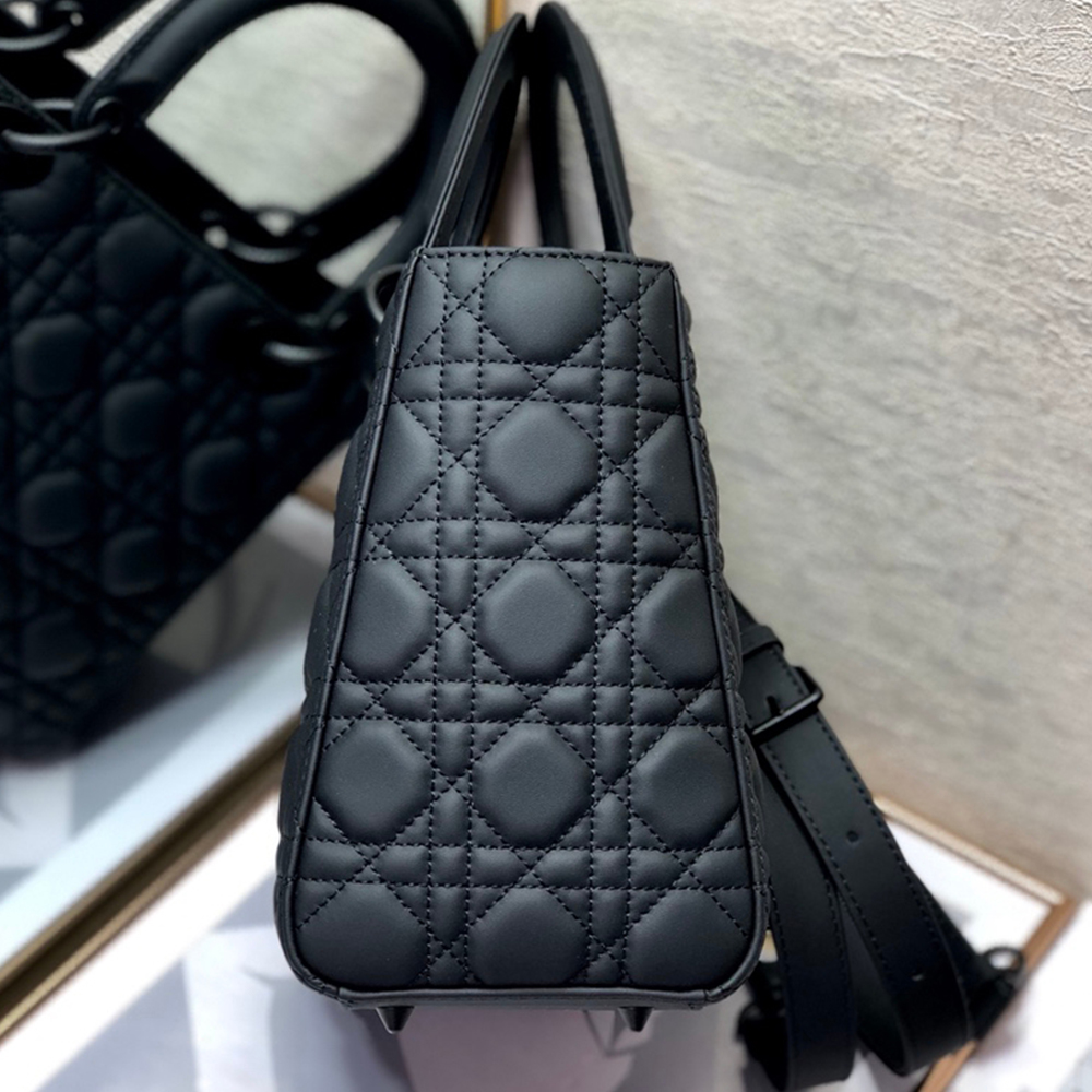 D10r LARGE LADY D10r BAG(4A)