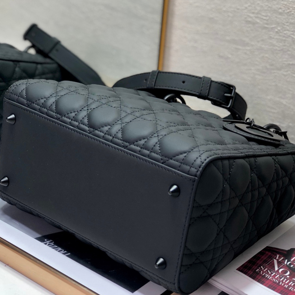 D10r LARGE LADY D10r BAG(4A)