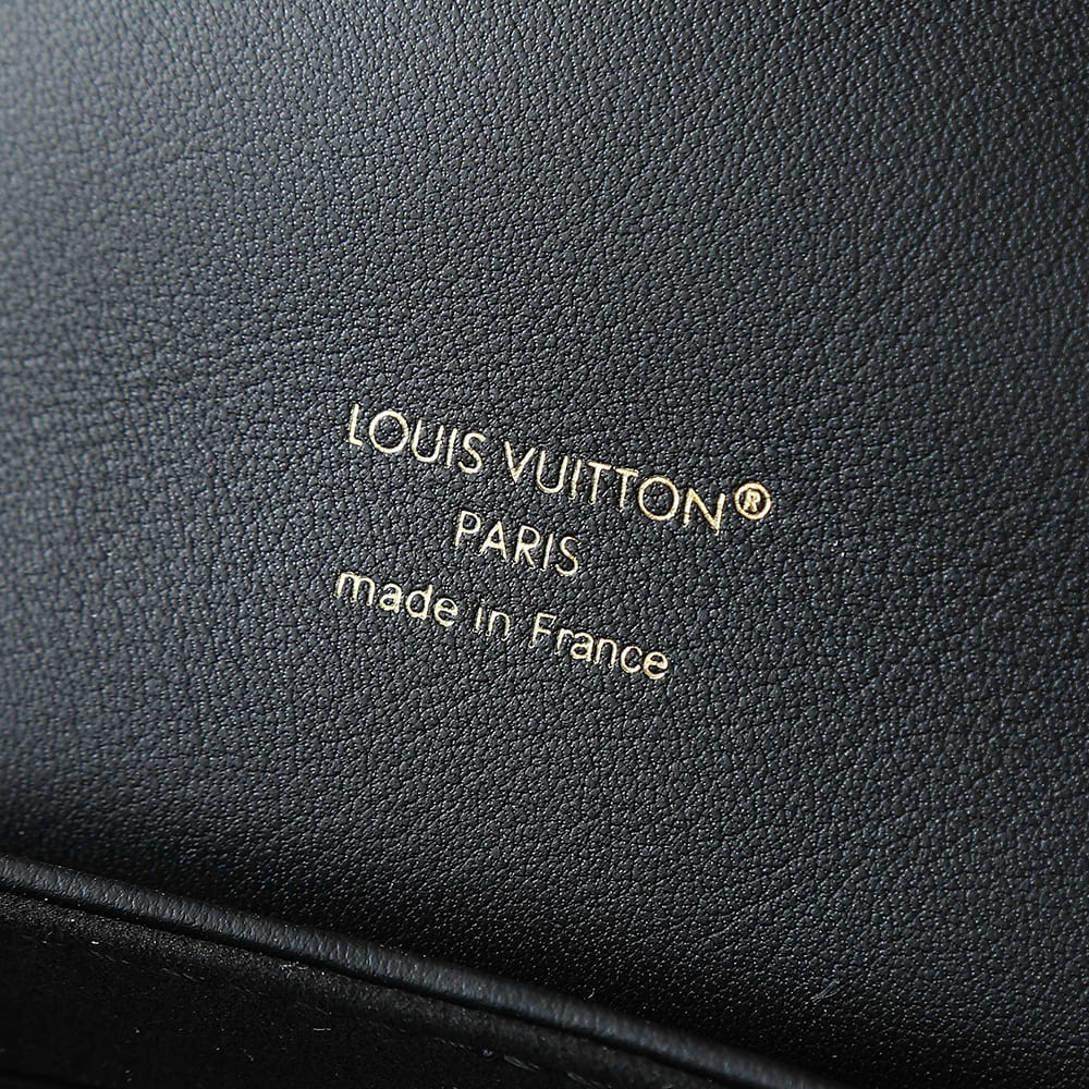LV Coussin Backpack PM(HIGH-END GRADE)
